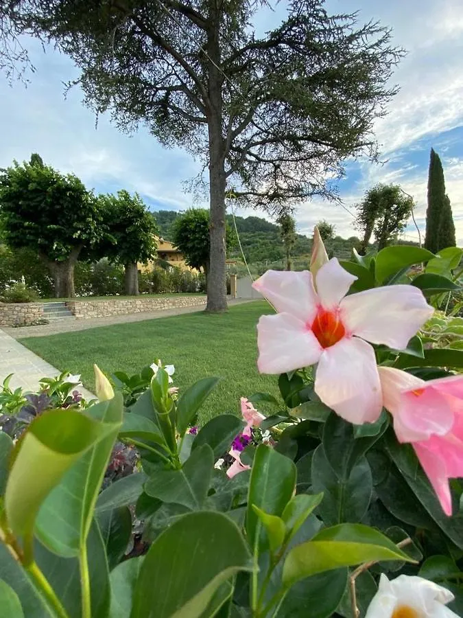 Bed and Breakfast Relais Maria Cristina Chianni Italia